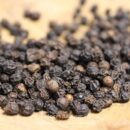 Poivre noir de Malabar - Les épices curieuses