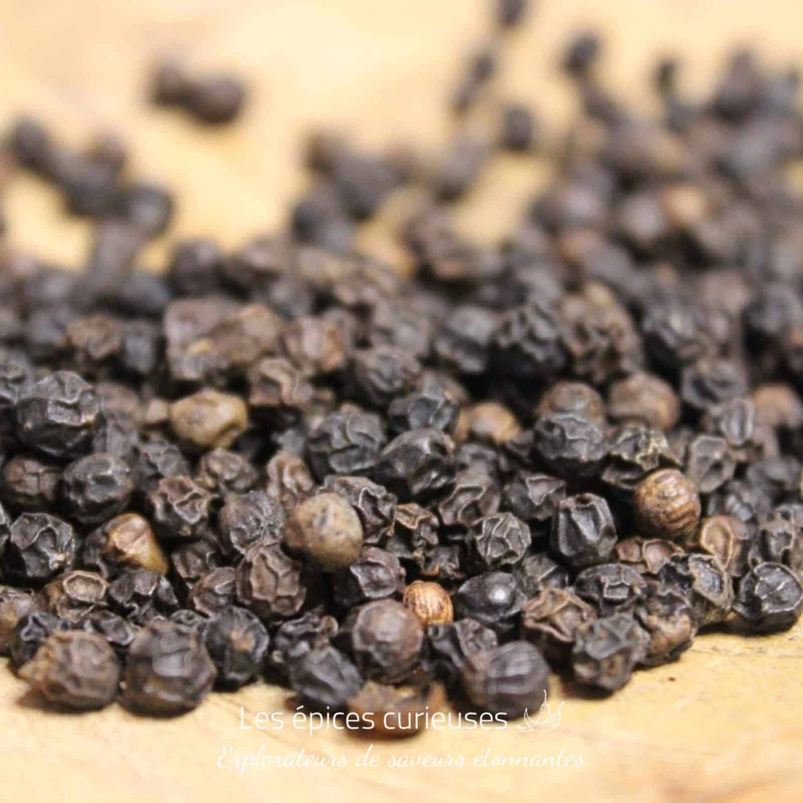Poivre noir de Malabar, épice bio, idéal pour la cuisine artisanale.