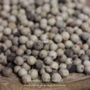 Poivre blanc de Sarawak - Les épices curieuses