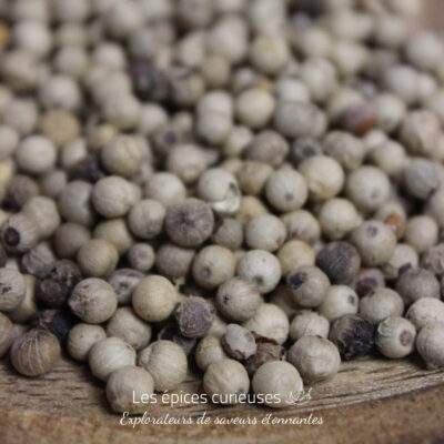 Poivre blanc de Sarawak - Les épices curieuses