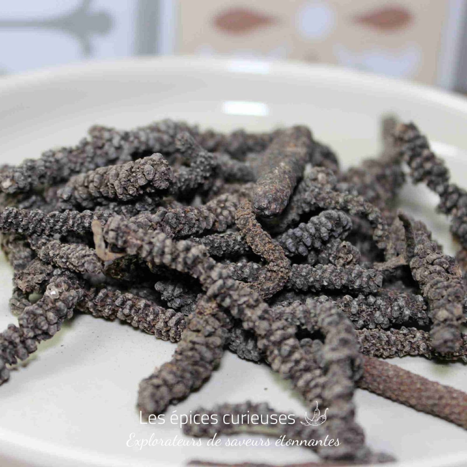 Poivre long d'Afrique - Timiz - Les épices curieuses