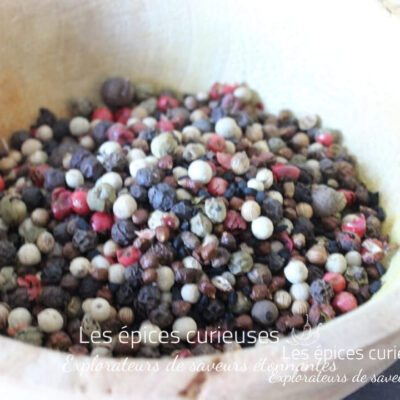 Mélange de poivres gastronome - Les épices curieuses