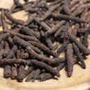 Poivre long des Indes - Les épices curieuses