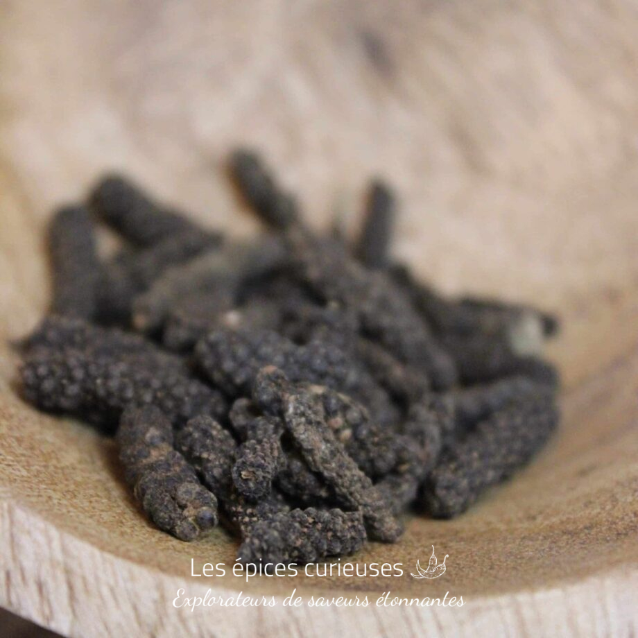Poivre long du Népal Poivre choco - Les epices curieuses
