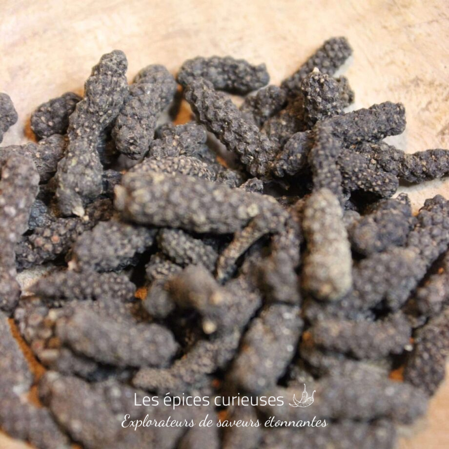 Poivre long du Népal / Poivre choco: - Les épices curieuses