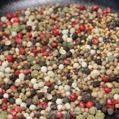 Mélange coloré de graines et épices variées, parfait pour rehausser saveurs et arômes de vos plats.