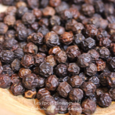 Poivre noir de Phu Quoc - Les épices curieuses