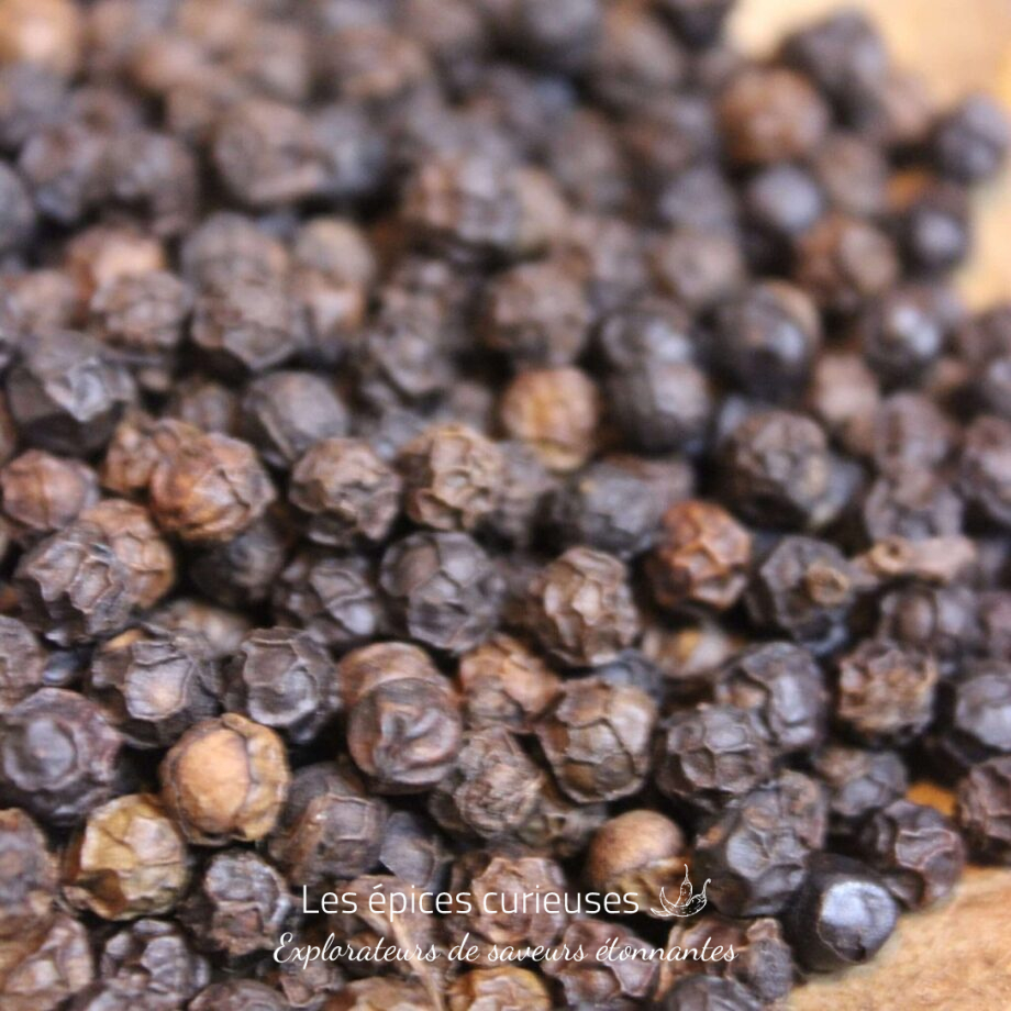 Poivre noir du Kerala - Les épices curieuses