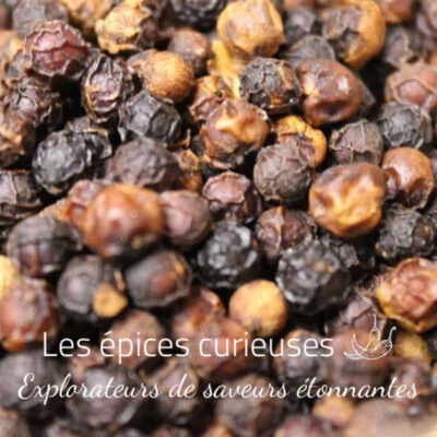 Poivre rouge de Bahia - Brésil - Les épices curieuses