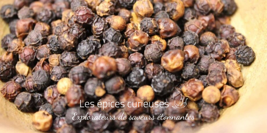 Poivre rouge de Bahia - Brésil - Les épices curieuses