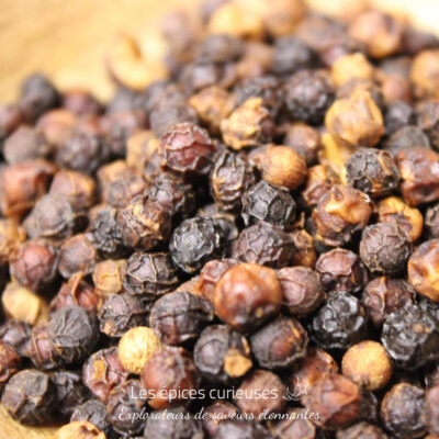 Poivre rouge de bahia - Les épices curieuses