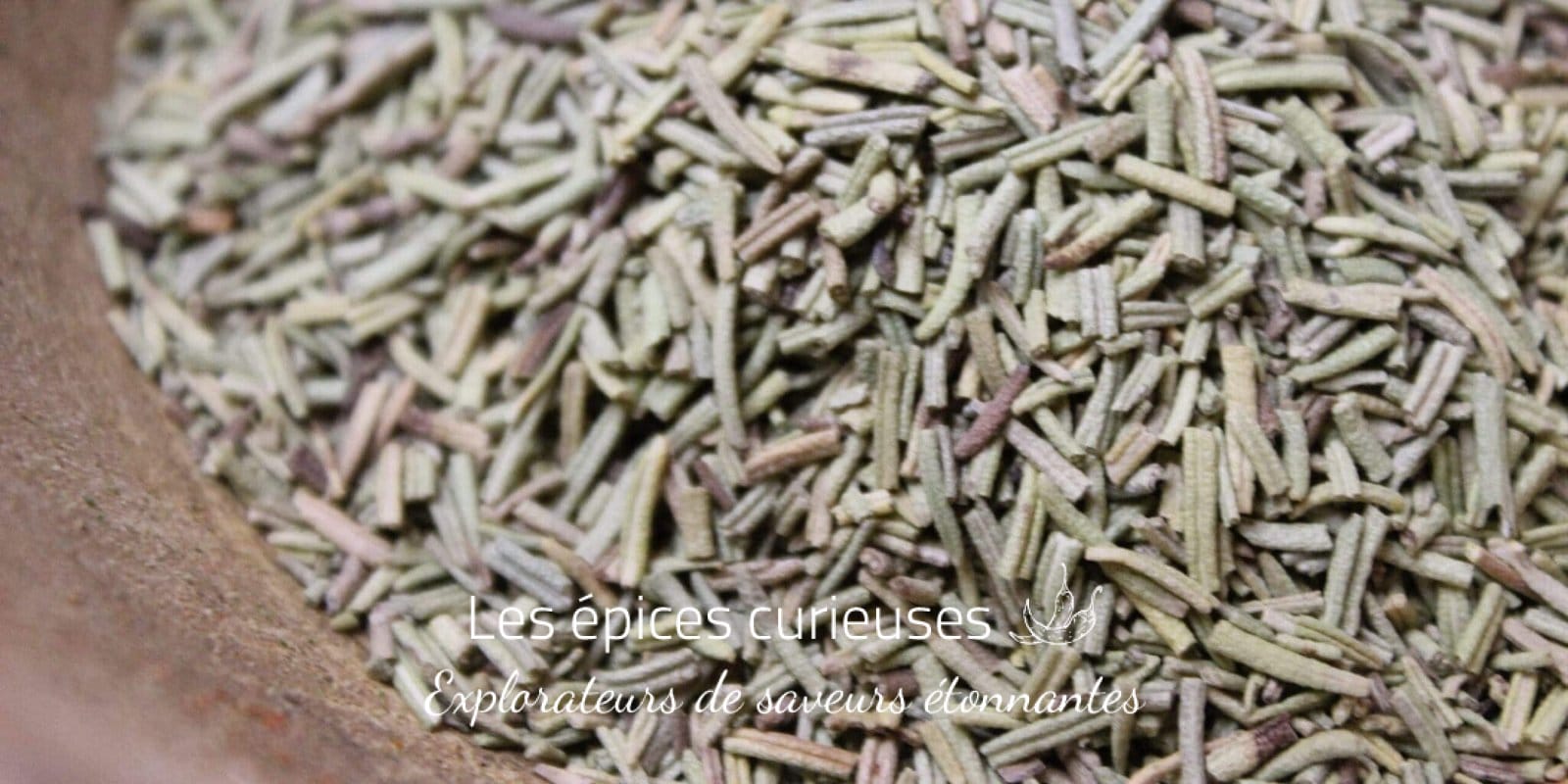 Romarin séché - Les épices curieuses