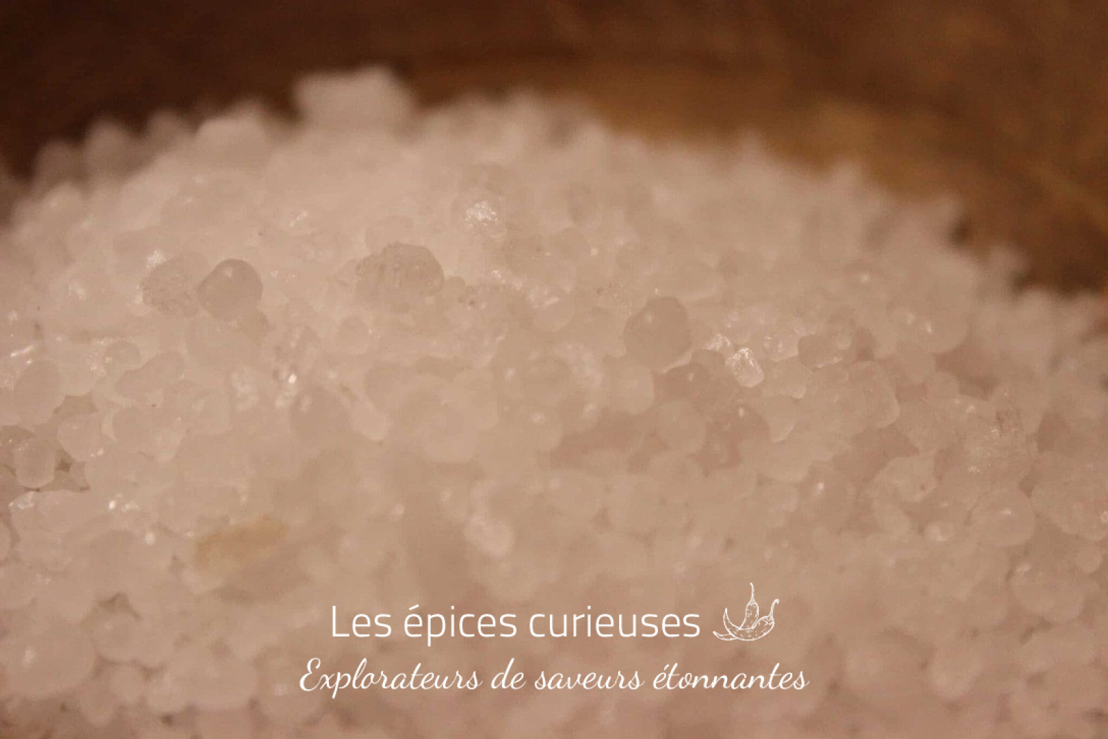 Perles de sel Africain - Les épices curieuses