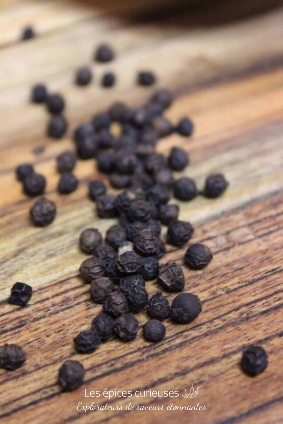 Poivre noir Sri Lanka - Les épices curieuses