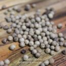 Poivre blanc Muntok en grains, épice bio artisanale, idéal pour relever vos plats.