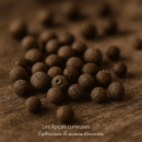 Piment de la Jamaïque en grains, épice bio, idéale pour la cuisine artisanale.