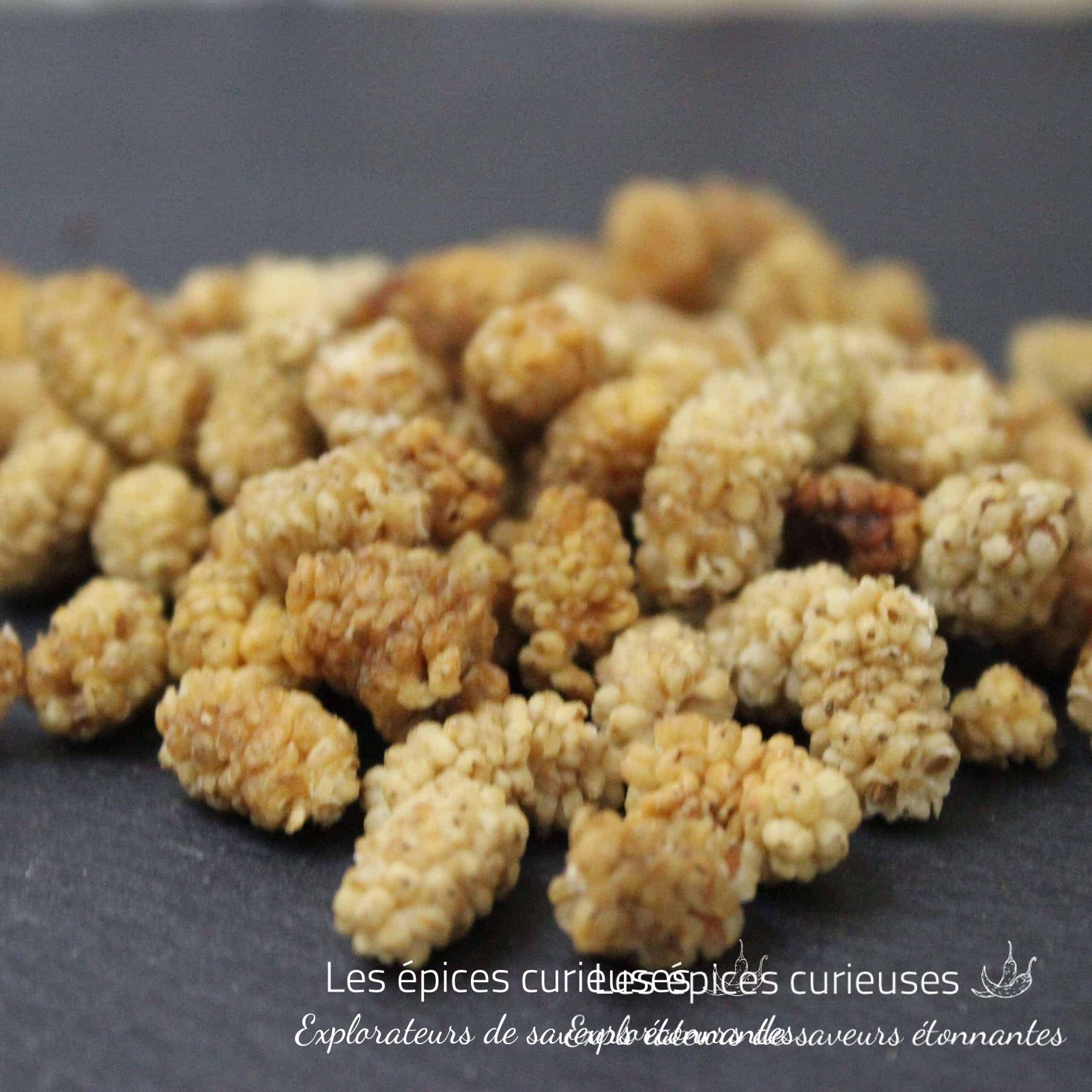 Mulberry Mûres Blanches séchée - Les Épices Curieuses