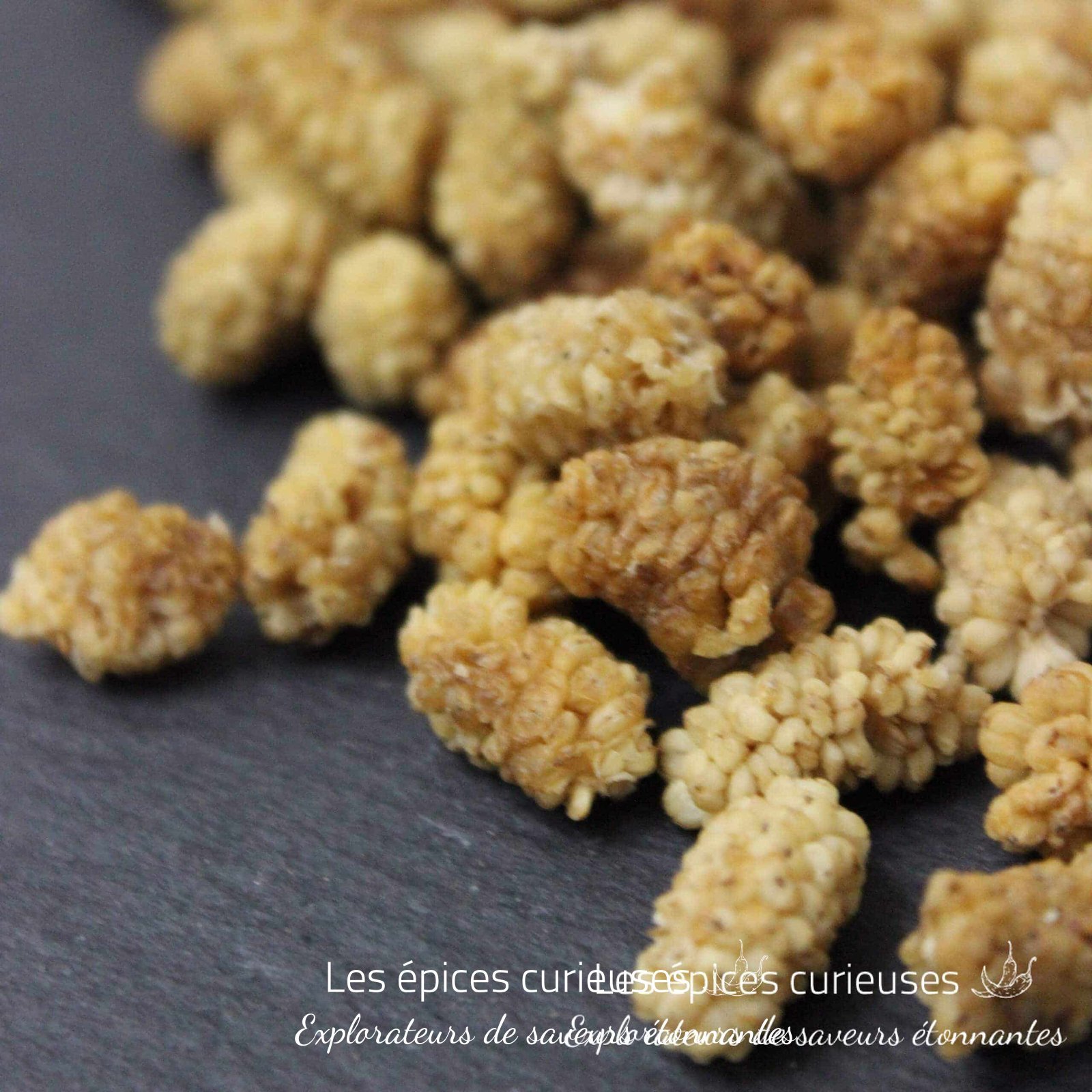 Mulberry Mûres Blanches séchée - Les Épices Curieuses