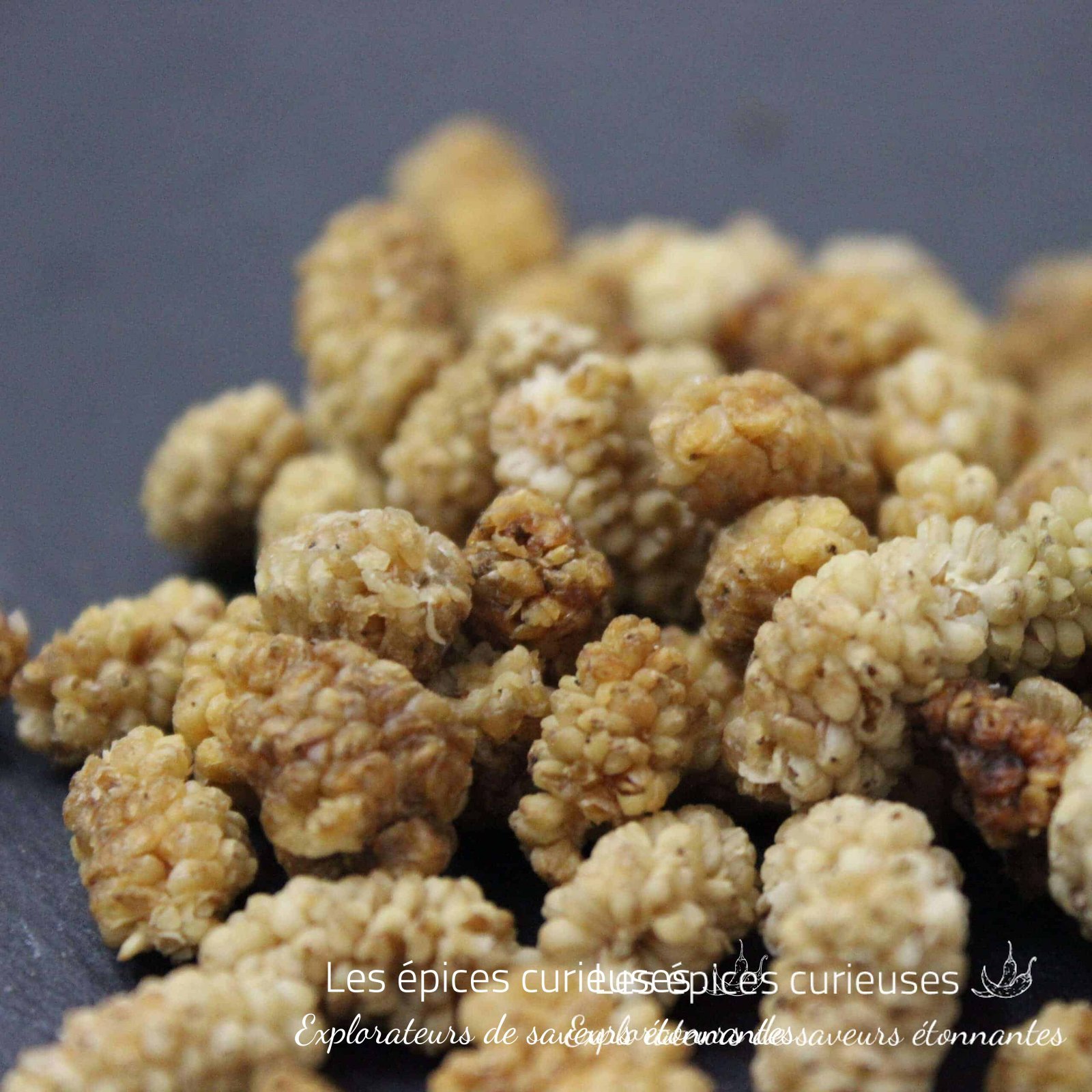 Mulberry Mûres Blanches séchée - Les Épices Curieuses